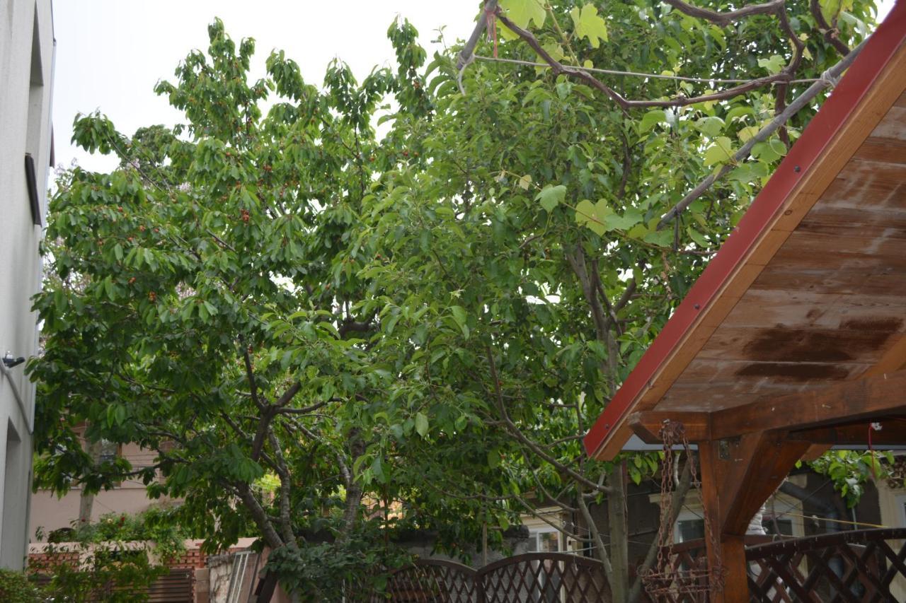 Victor Residence 38 Bucharest Luaran gambar