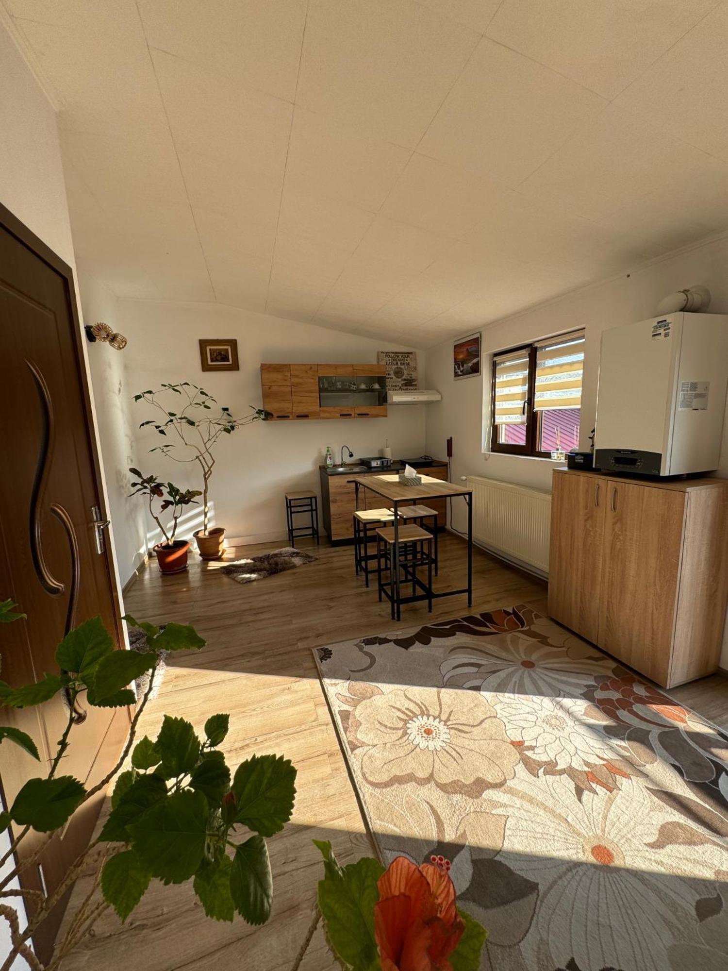 Victor Residence 38 Bucharest Luaran gambar